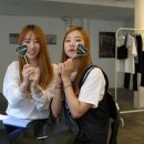 플로허 이미지
