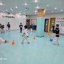 하임태권도장 이미지