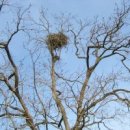 둥지 몸짓의 보금자리 이미지