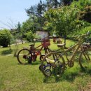 힐링농장 이미지