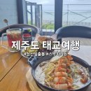 동남의원 | 제주도 태교여행 3일차, 성산일출봉근처 가야할 곳들과 스누피가든