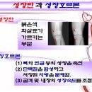 사랑나무한의원 이미지