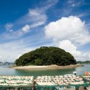 완도 주도 상록수림 이미지