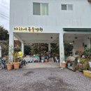 마리네 동물병원 이미지