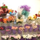 강남역 8번출구 앞 | 💐 너에게꽃치다 강남역지점 방문 후기 💐
