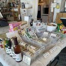 개밥주는여자 이미지