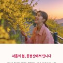 응봉개나리어린이공원 | 응봉산 등산코스 추천: 한강뷰와 서울 야경을 품은 도심 속 힐링 스팟!