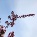 축산면사무소 이미지