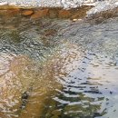 하북농협정비 이미지