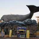 장생포고래박물관 이미지