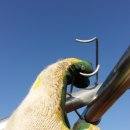 땅끝농장 이미지