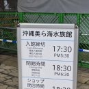 중부-현장-중부-1440 | 일본 여행 오키나와 가볼만한 곳 추천 츄라우미 수족관 입장권 주차장 돌고래 쇼 시간