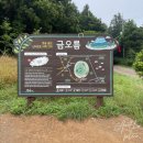 [2022 제주] 4박 5일 제주여행 2일차 - ② 금오름(실패), 제주현대미술관, 아도스마켓