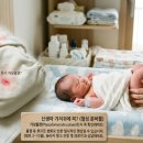 가성 티스토리