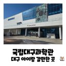 (주)화석자동차 | 국립대구과학관 아이랑 가볼만한 곳 4시간 코스로 즐기고 온 상설전시관과 꿈나무과학관
