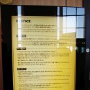 대구 성서 계명아트센터 [라이온킹 뮤지컬] 3층 B석 관람후기