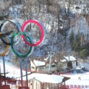 웨그(Wag) 이미지