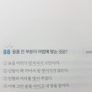 화룡점정 이미지