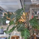 드림포유 | 수서 숨겨진 감성 카페 노타임포유 후기