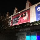 (공연) 아카데미 오브 세인트 마틴 인 더 필즈 & 페데리코 콜리 | 아카데미 오브 세인트 마틴 인 더 필즈, 예술의전당 콘서트홀 공연 관람 후기(2024.11.21.)