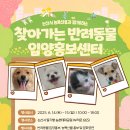 논산시 동물보호센터 뉴스1