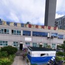 부산오징어 이미지