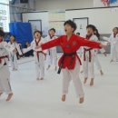 오로라 태권도장 이미지