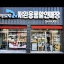 알았당개 이미지