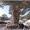 당산목장 이미지