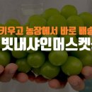 우명농장 이미지