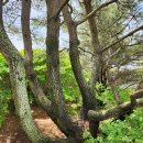 의령-의령-의령-D-1 이미지