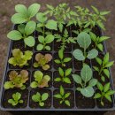 흙뿌리 농장 이미지