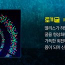 앨리스인원더랜드 이미지