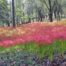 초록숲공원 이미지