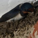 수옥경로당 이미지