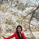 널부르는소리야 이미지