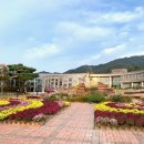 지리산허브밸리 이미지