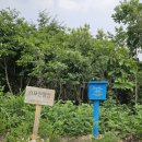 원주굽이길 9코스 스무산둘레길 이미지