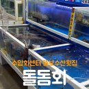 삼산초장