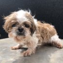 초지2로 이미지