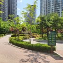 강남역서초써밋롯데캐슬공인중개사사무소 이미지