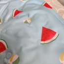 댕댕포유 이미지