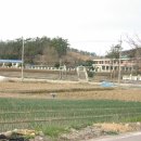 장산초등학교 이미지