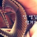 알케이 이미지