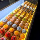 봉곡동102 | 구미 상하이 버터떡 파는곳 스타로니아 봉곡동 카페 후르츠산도 맛집후기