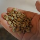 운남농장 이미지