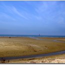 솔숲과 바다 이미지