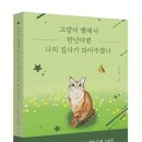 고양이 별 이미지