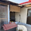 월오포레스트 이미지