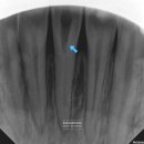 서울쏙쏙치과의원 이미지